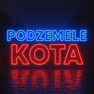 Подземелье кота🐈‍⬛