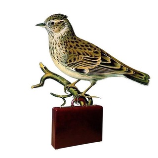 Ладно, я поехала! | Новости туризма