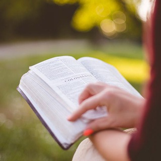 ✧Стихи из Библии✧