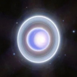 Наталья Лисица. Погадать на Короля👑