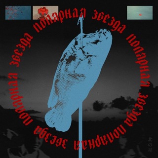 полярная звезда