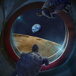 Южный полюс Луны