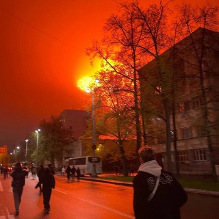 полегипсофил?