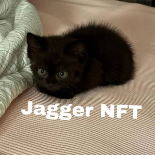 Jagger NFT