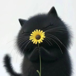 Обо всем на свете