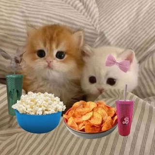 Пересылка @