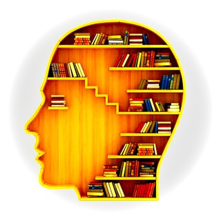 Полка с фактами📖