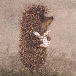 Книжная полка