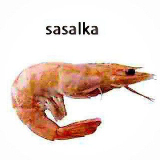 притон Песни полматери 🧀