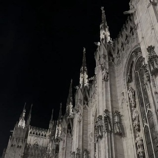 поляна шефилда