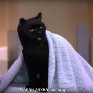 Меня тут больше нет. Осталась только память