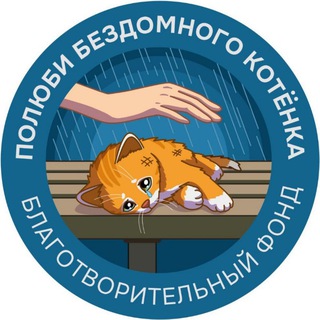 Полюби бездомного котёнка