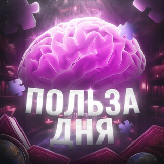 Польза дня 🧠
