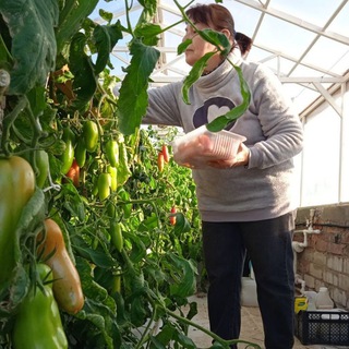 Второй заход