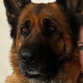 Новороссийск Помогать легко и приятно - попробуй!🐕 Спасаем животных вместе.