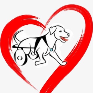 ‘ОСОБЕННАЯ ЖИЗНЬ’