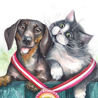 Хвосты и Лапы | Помощь бездомным животным