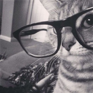 те самые картинки и звуки