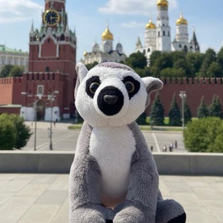 По Москве с лемуром Лимоном