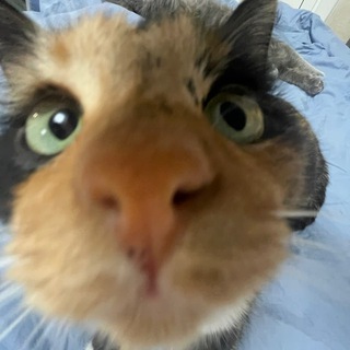 Помпка пишет