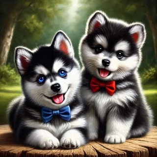 Помски pomskybest