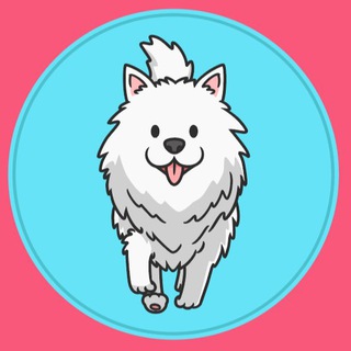 Poodle Inu Official | erc20