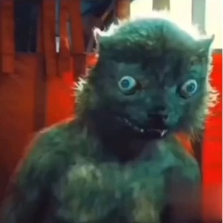 poor quality content