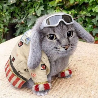 🍿x [попкорн, попкорникс, popkornX]