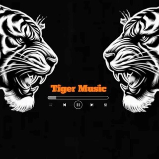 Tiger Music | Песни 2026 года
