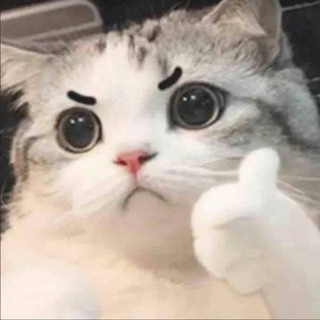 Ульяна попросила революцию и эчпочмак