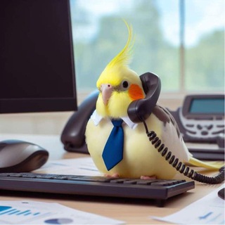 Мемные попугаи