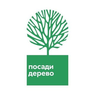 посади дерево