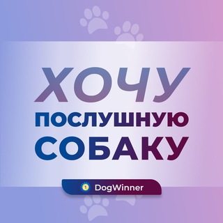Хочу послушную собаку 🐾🐕