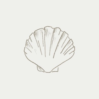 Shell.cn - байер сервис по доставке из Китая| Poizon | Taobao