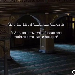 Вип Поставщики 🤍