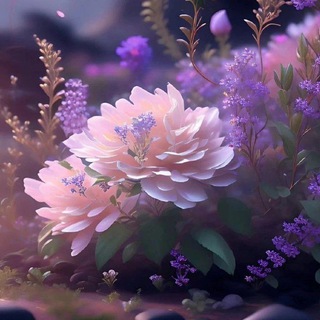 Открытки - поздравления