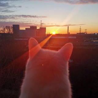 пост панк/russian doomer music/post punk