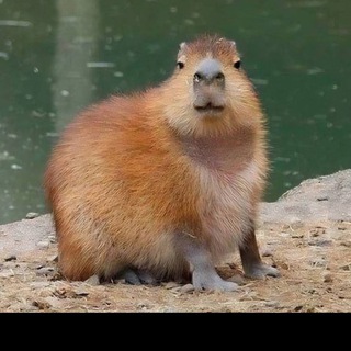 Потемнело за окном