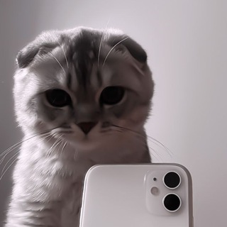 ksy & Well & Eat🤎