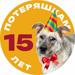 Потеряшки | Помощь животным