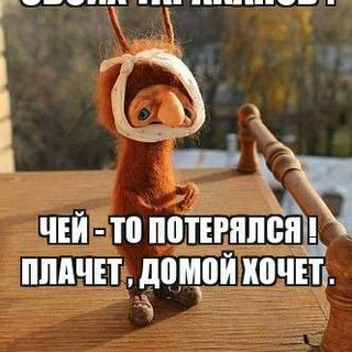 ПОТЕРЯШКА ВЯЗЬМА(БЮРО НАХОДОК)