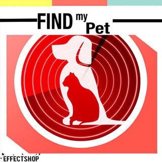 ПОТЕРЯШКА_кхв🐾-Хабаровск