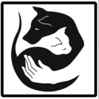 Потеряшки Краснодар🐶🐱