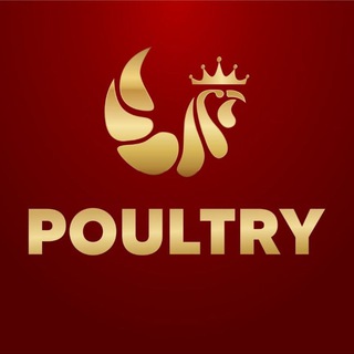 POULTRY.ID - Official Group Chat