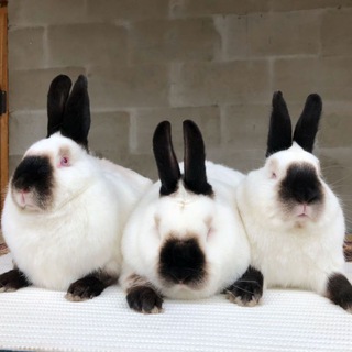 POYTUG'_QUYONCHILIK "N1"🤟