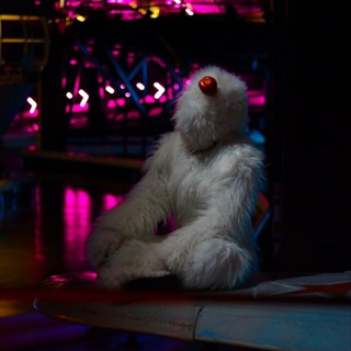 Позитив на целый день 𓆩ᥫ᭡𓆪