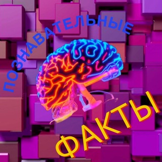 Познавательные факты