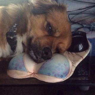 паблик хуйня, админ в психдиспансере