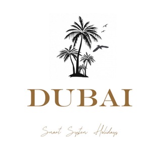 PRO Dubai Plus 🌍