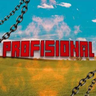 Pr0fisional
